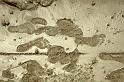 RWT 0152 144-26 Nepal Footprints
